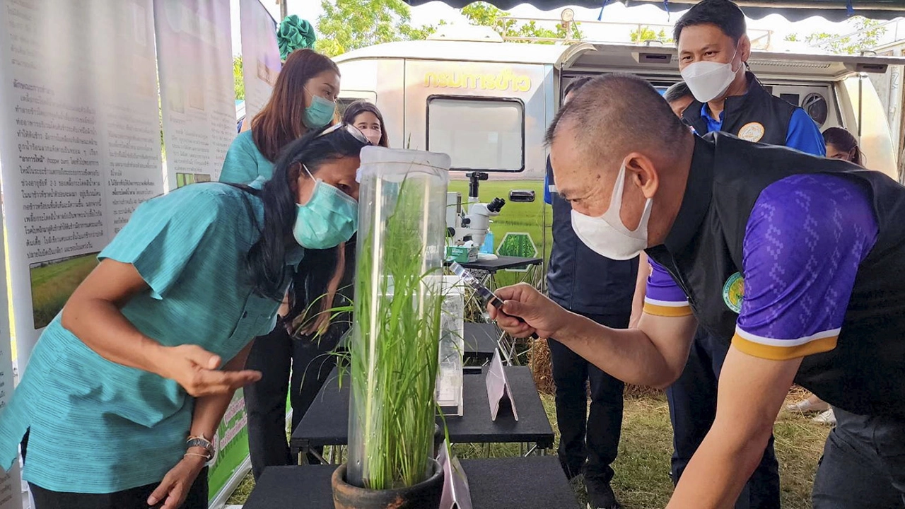 “เฉลิมชัย” หนุนลดต้นทุนผลิต “เมล็ดพันธุ์ข้าว”