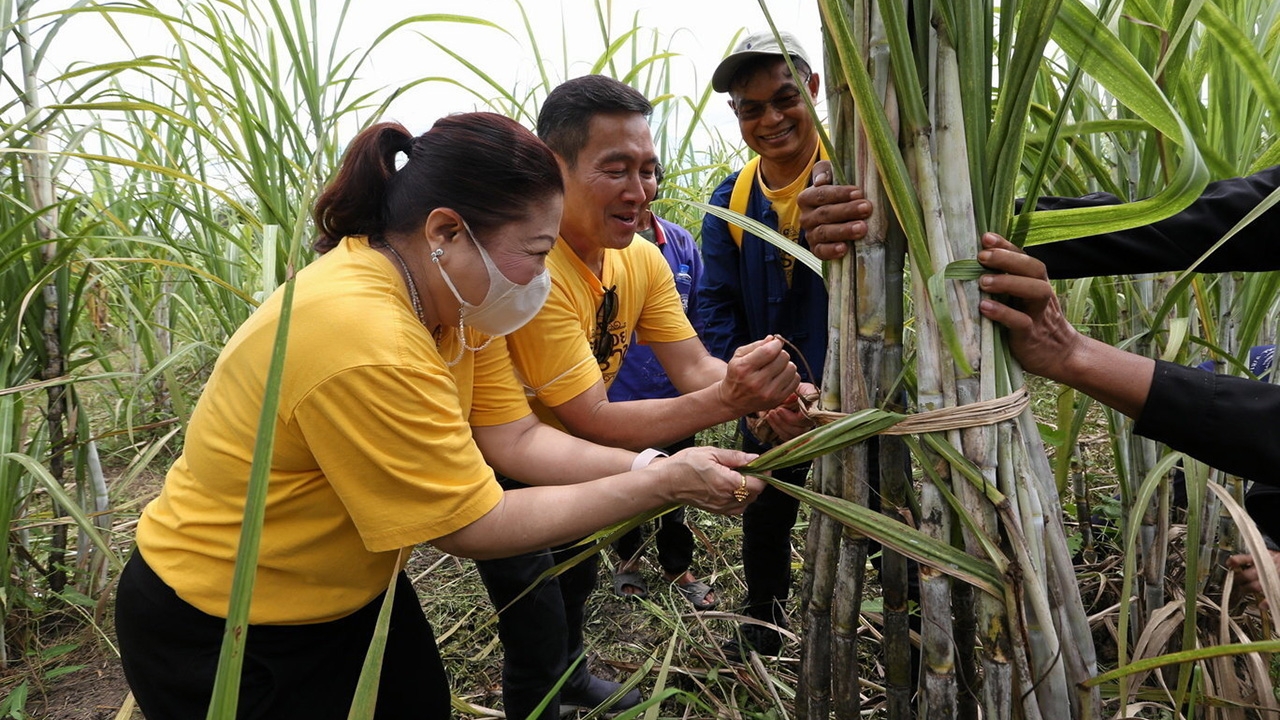 ทิพยสืบสาน รักษา ต่อยอด นวัตกรรมศาสตร์พระราชา ลดความรุนแรงจากภัยพิบัติธรรมชาติ