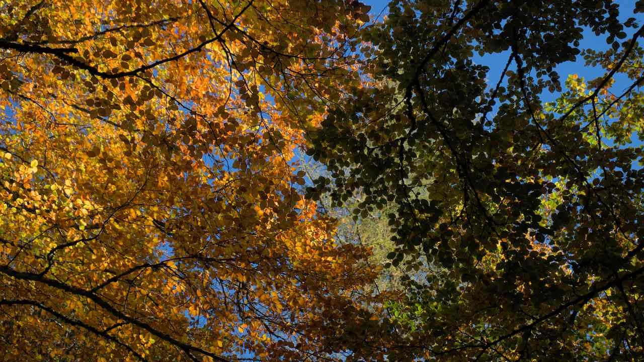 23 ก.ย. 65 วันศารทวิษุวัต 2565 เวลากลางวัน ยาวเท่ากับกลางคืน