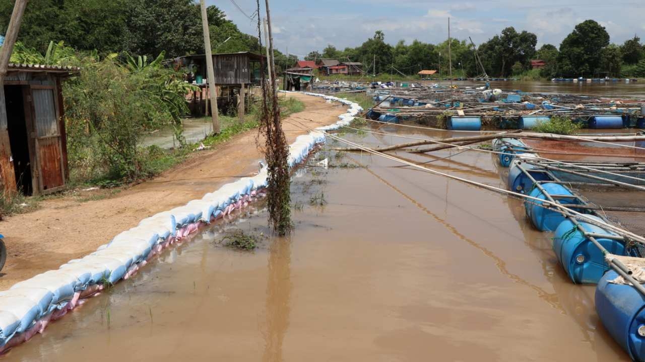 ชาวอ่างทองริมคลองโผงเผงลุ้น น้ำจ่อล้นคันกั้นน้ำ ชี้อีก 50 ซม.เอาไม่อยู่