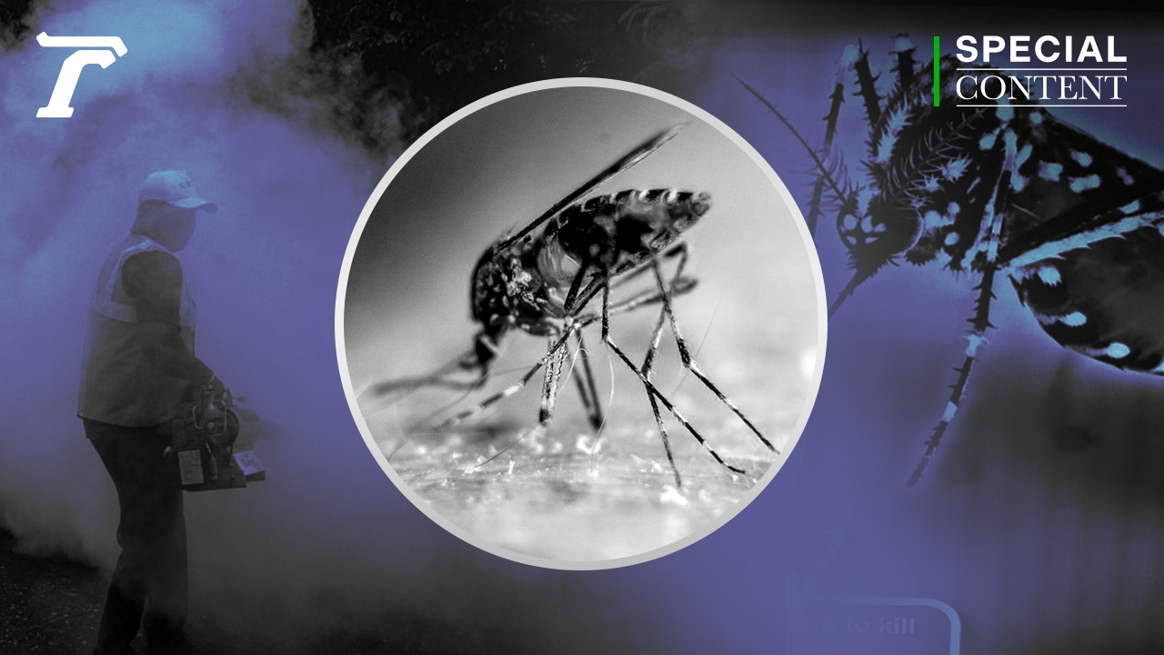 Asia Prepares Unrivaled Mosquito ‘Super Mosquito’ Killed With Pesticides, No Deaths.