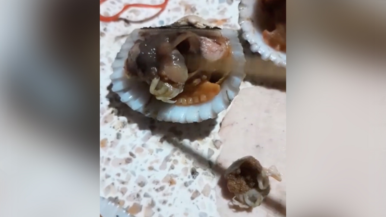 สาวข้องใจ ซื้อ "หอยแครง" จากตลาด แกะเจอตัวประหลาดอยู่ข้างใน