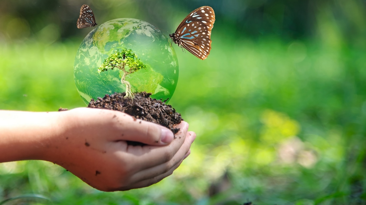 รู้จัก “กรมอุทยานแห่งชาติ สัตว์ป่า และพันธุ์พืช” มีประวัติและหน่วยงานอะไรบ้าง