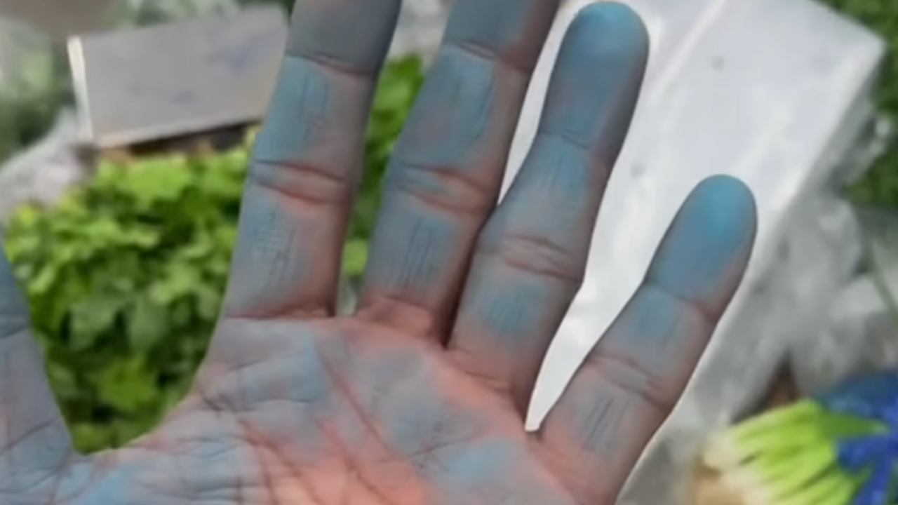 อ.เจษฎา เฉลยแล้ว หลังโซเชียลสงสัยคลิป "ต้นหอม" มีคราบสีฟ้า หวั่นโดนย้อมสี