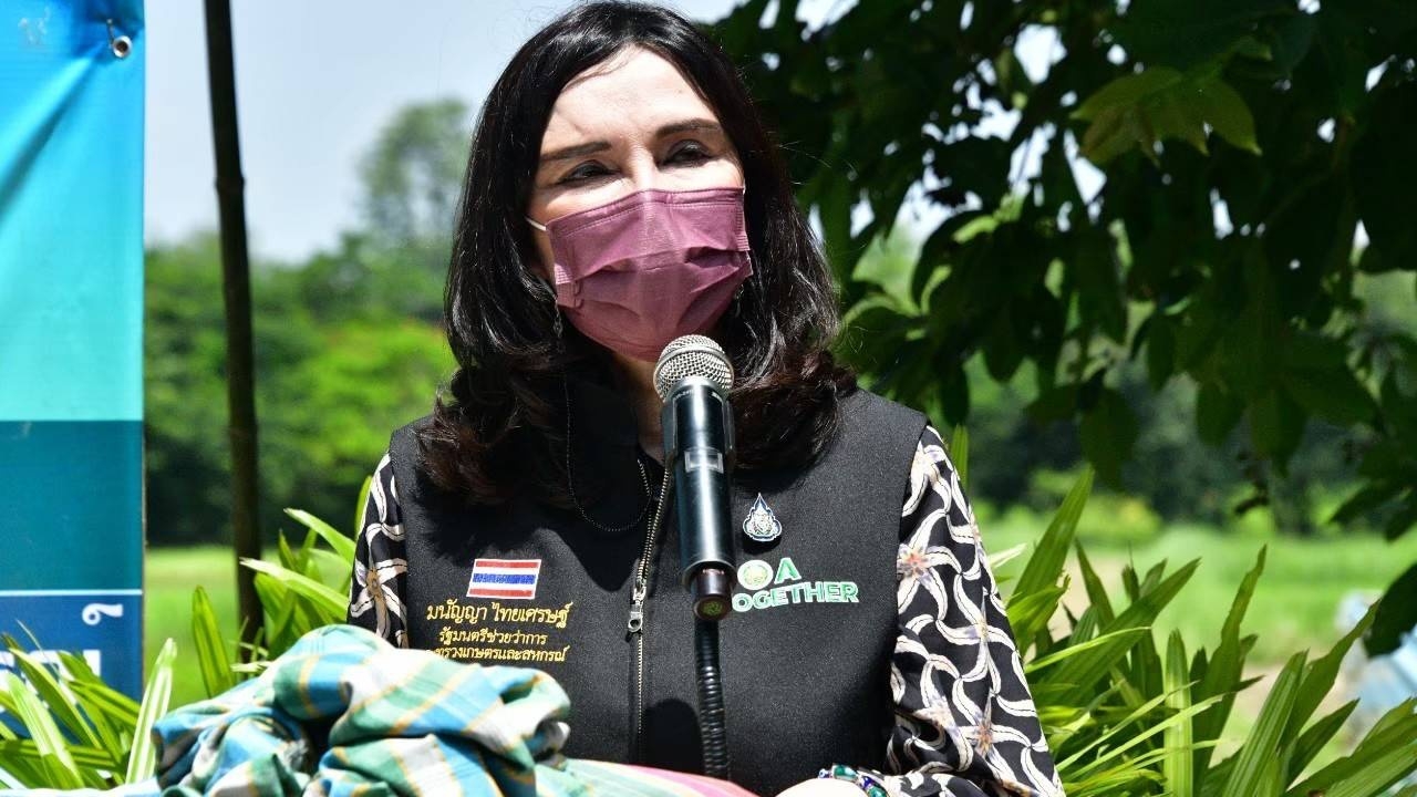 "มนัญญา" หวั่นอันตราย สั่ง กวก.ตรวจสอบคราบสารสีฟ้าบนใบต้นหอม