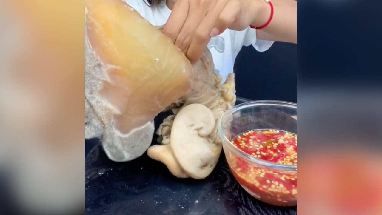 สาวโชว์เปิบพิสดาร "น้องสาววัว" เมนูแปลกจนโซเชียลถาม กินได้จริงเหรอ