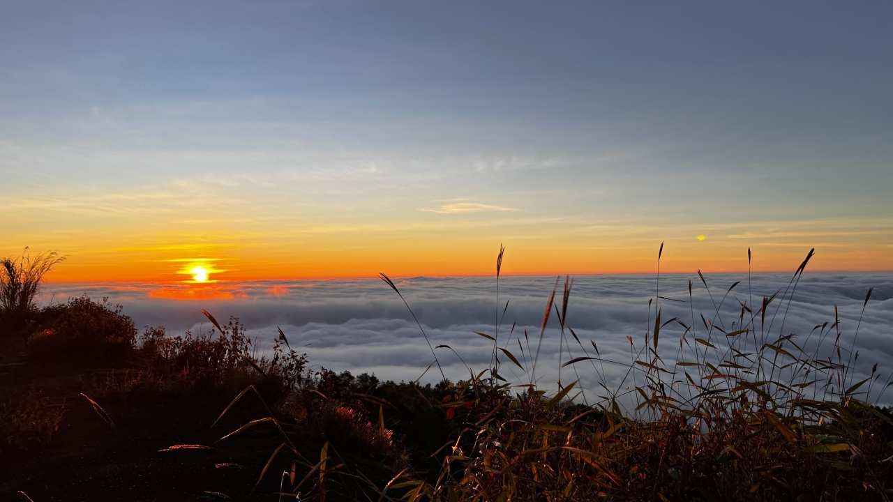 เหนือหนาว 2 วันติด ยอดดอยอินทนนท์เหลือ 6 องศาฯ ทะเลหมอกเห็นชัดสวยงาม