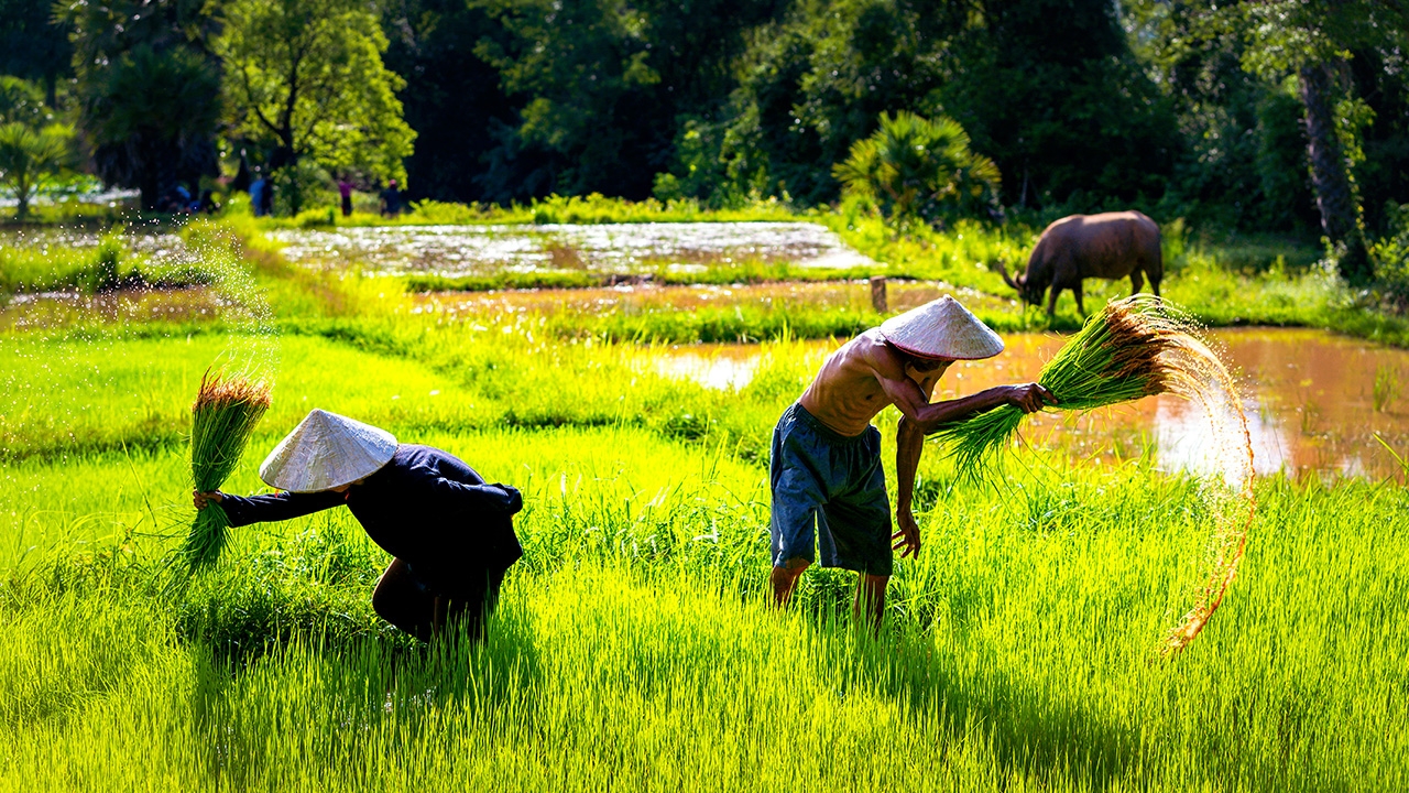 ทำแผ่นดินไทยและลาวเด่นการเกษตร