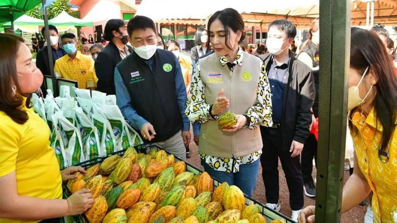 มนัญญา มนัญญา