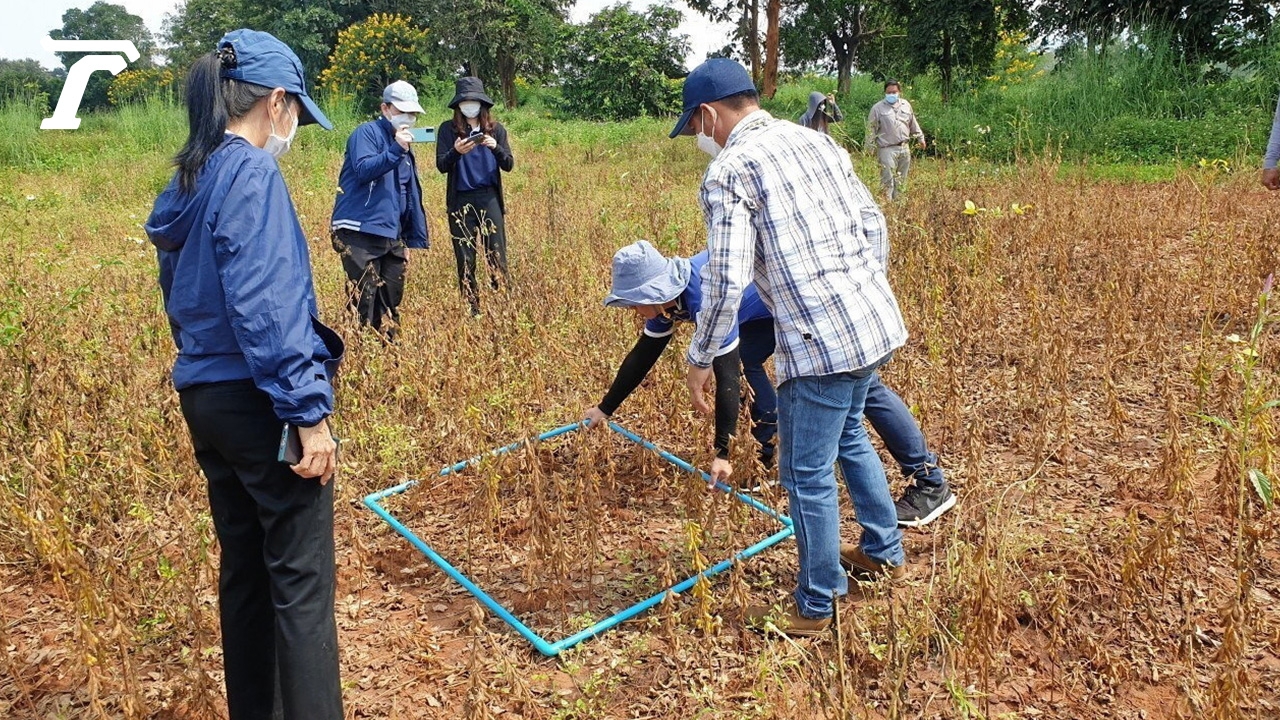 Solving soybean shortage..again Daily News