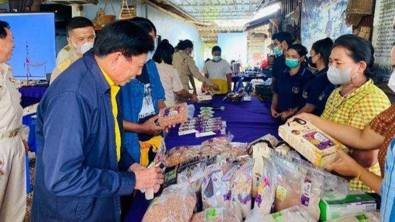 ศมข.พัทลุง รุกใช้เทคโนโลยีสมัยใหม่ยกระดับแปลงใหญ่ สร้างรายได้งาม