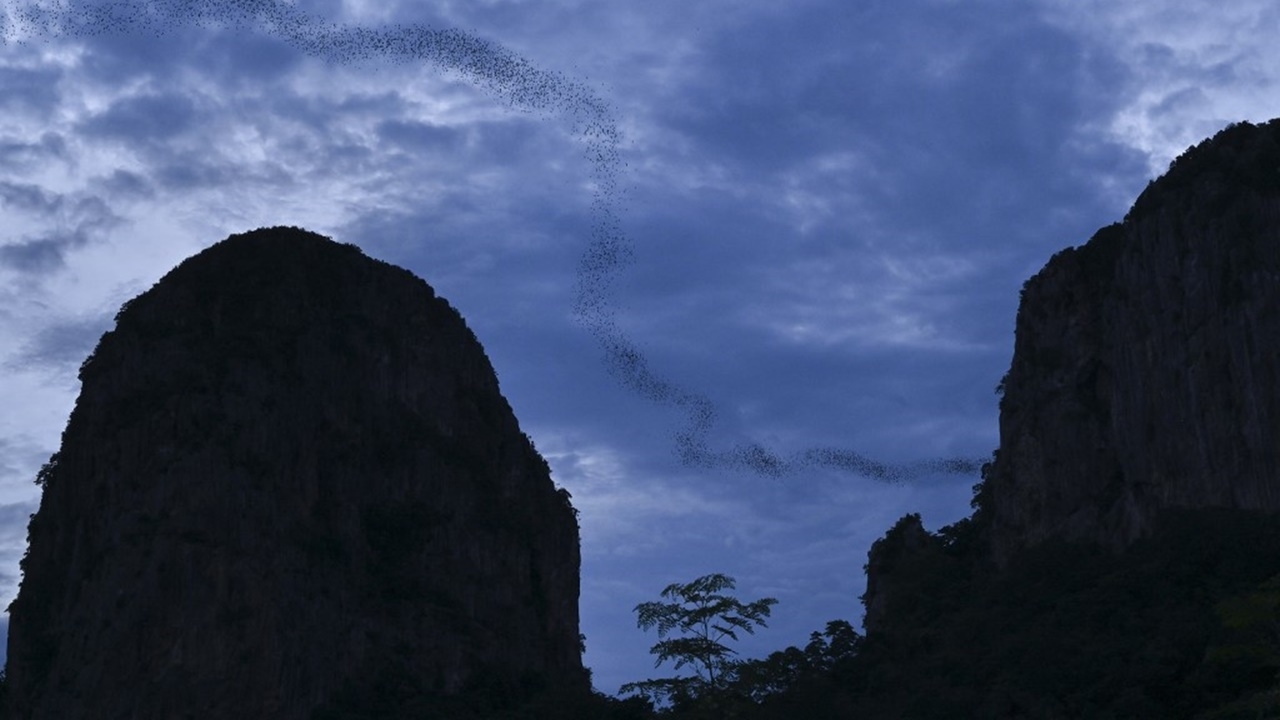 สภาพอากาศวันนี้ มวลอากาศเย็นระลอกใหม่มาแล้ว อุณหภูมิลด 1-4 องศา