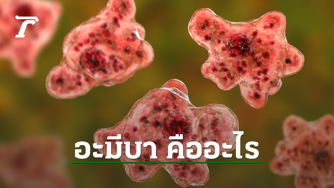 Do you know what “Amoeba” is?  Is it really life threatening?