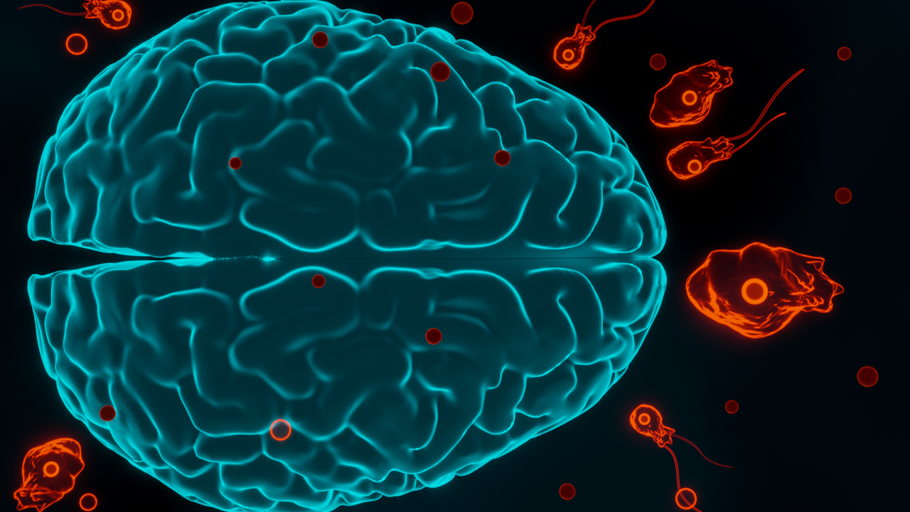 หมอแล็บฯ แนะวิธีป้องกัน "อะมีบากินสมอง" หลังชายเกาหลีใต้กลับจากไทยติดเชื้อดับ