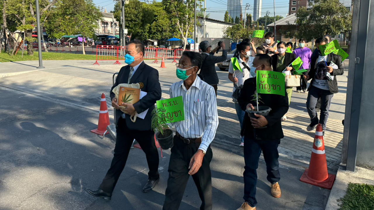 ผนึกกำลังพิทักษ์สิทธิประชาชนต้องได้ปลูกกัญชา ประกาศจัดเวทีคู่ขนานสภาใหญ่