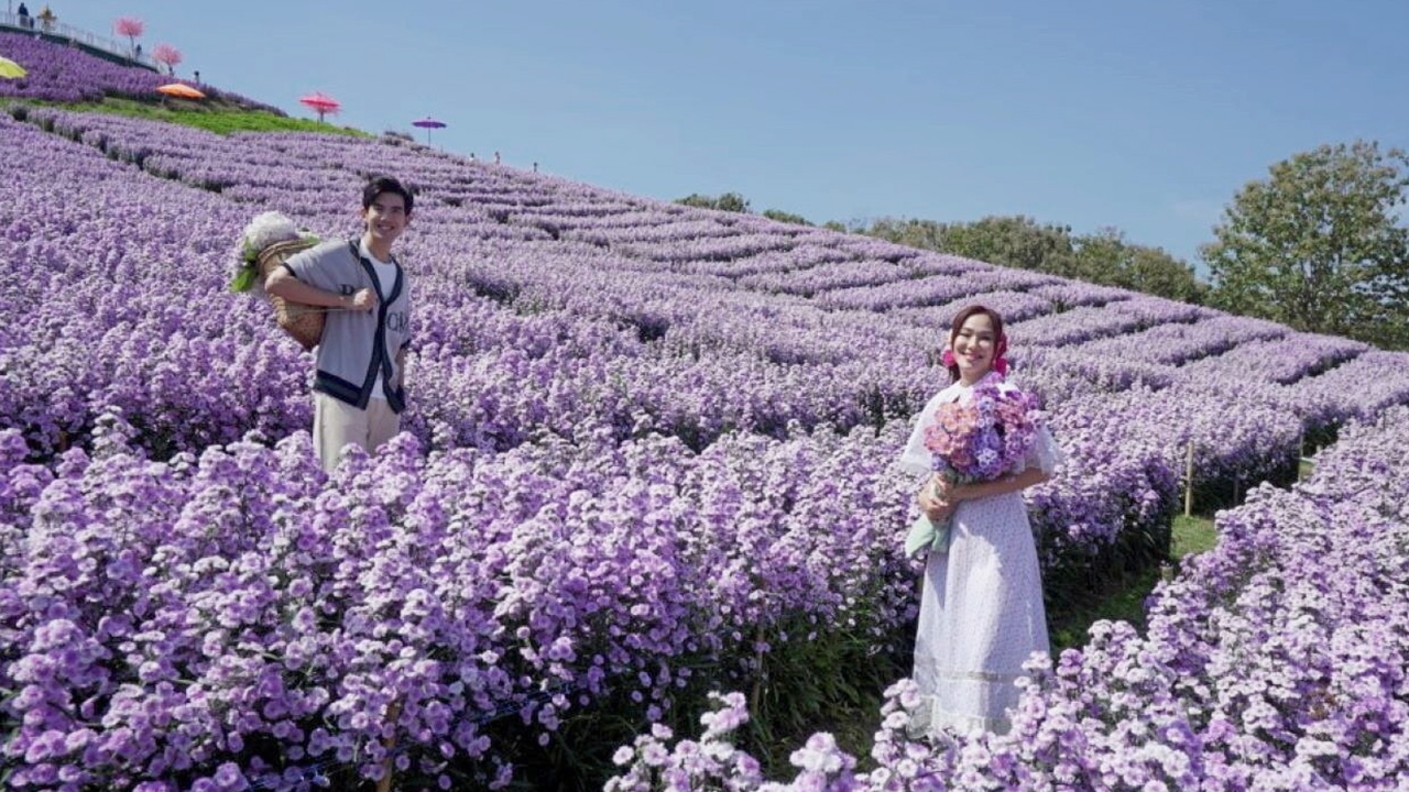 “จอย-เต๋อ” รีวิวสวนดอกไม้เขาค้อรายการ “เปรี้ยวปาก”