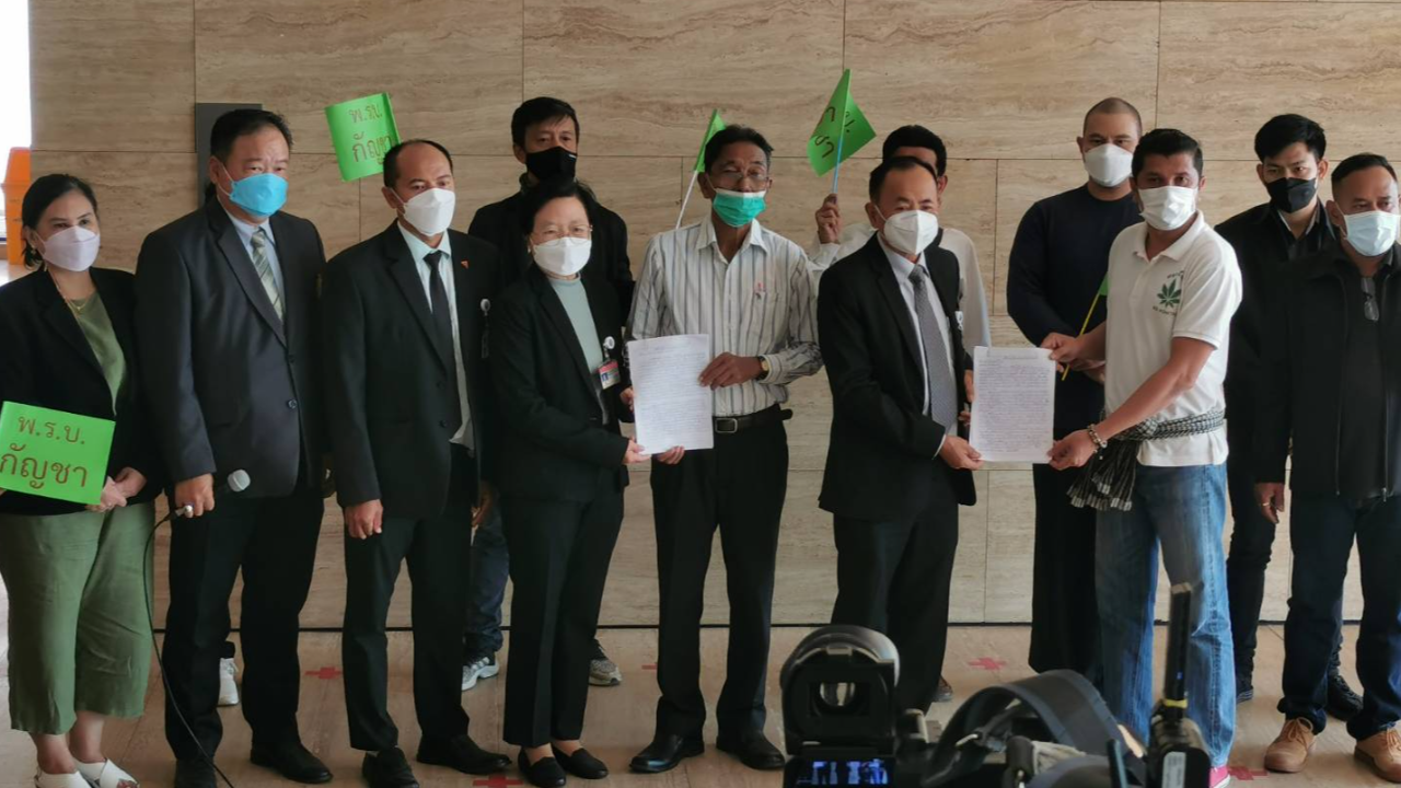 "ผู้เฒ่า-หมอยา" ฝ่าพายุ บุกสภา ยื่น 3 พรรคการเมือง ผ่าน พ.ร.บ.กัญชา 