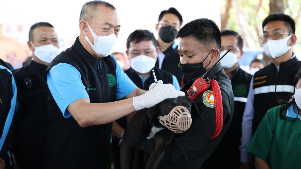 "เฉลิมชัย" คิกออฟผ่าตัดทำหมัน ฉีดวัคซีนพิษสุนัขบ้าฟรี ตลอดปี 2566