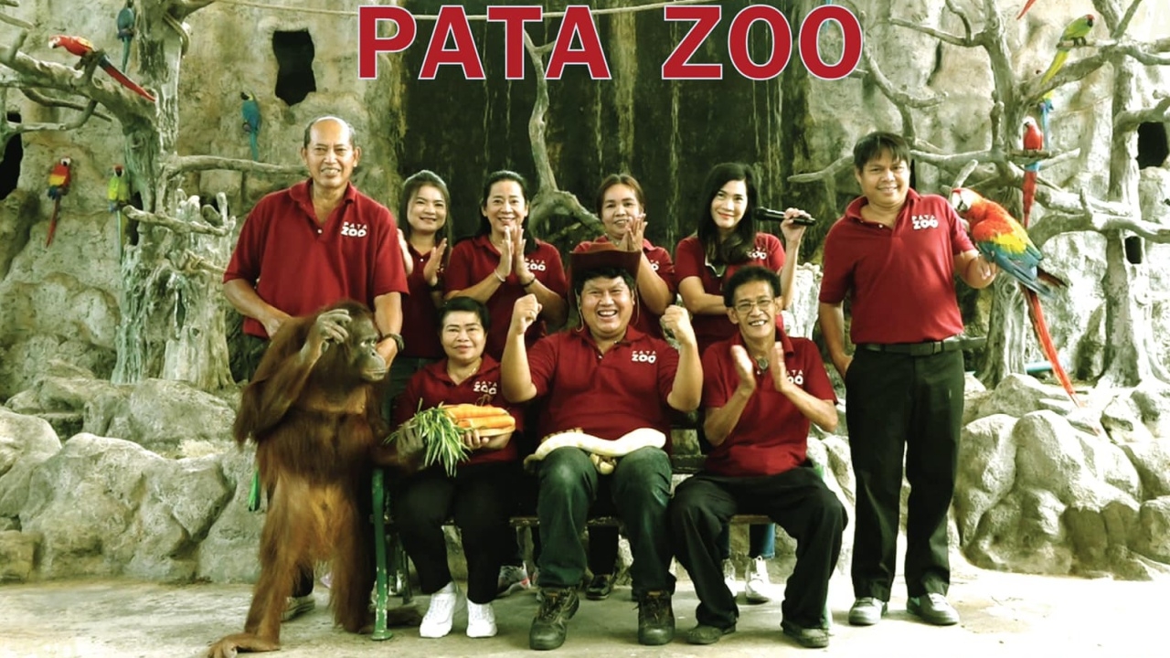 มหัศจรรย์แห่งโซเชียล สวนสัตว์พาต้า ขอบคุณ กระแส "บัวน้อย" ทำคนกลับมาคึกคัก 