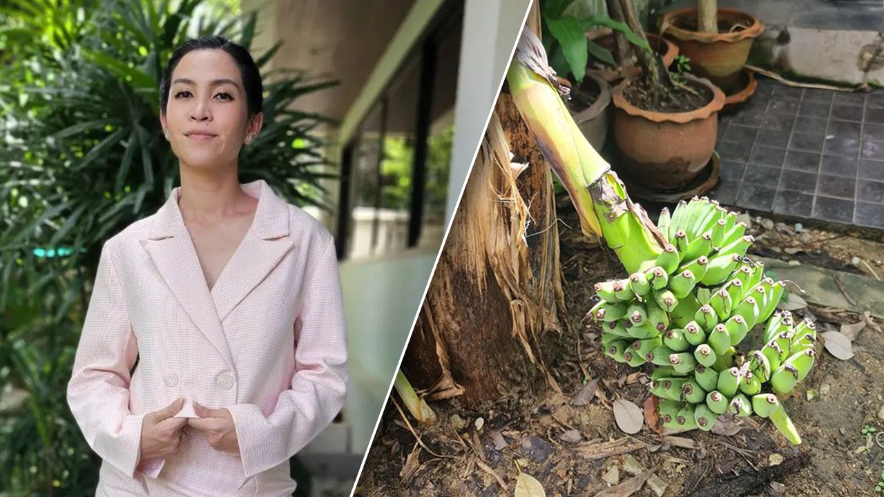 อี๊ฟ พุทธธิดา เล่าเรื่องสุดแปลกจากต้นกล้วยขันหมาก คนพากันซูมทายเลขเด็ด