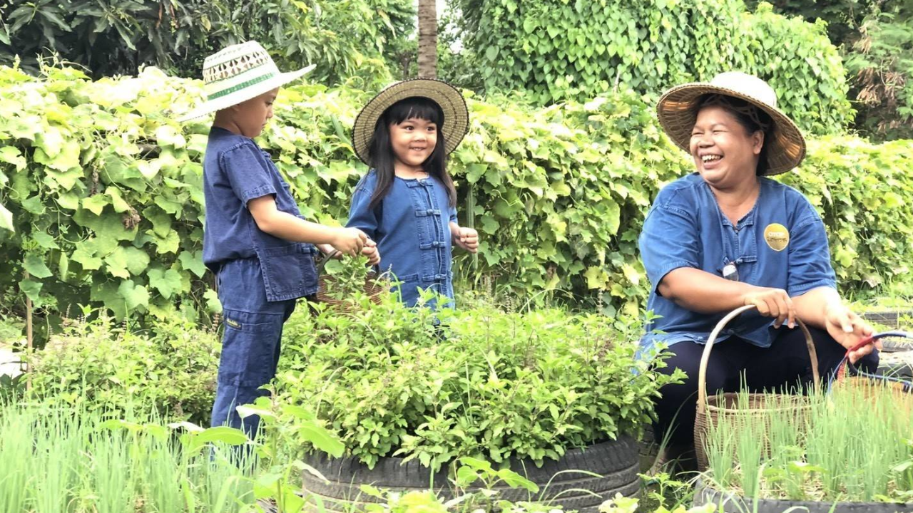 พช.ชวนปลูกผักสวนครัว สร้างความมั่นคงทางอาหาร ตามแนวพระราชดำริฯ