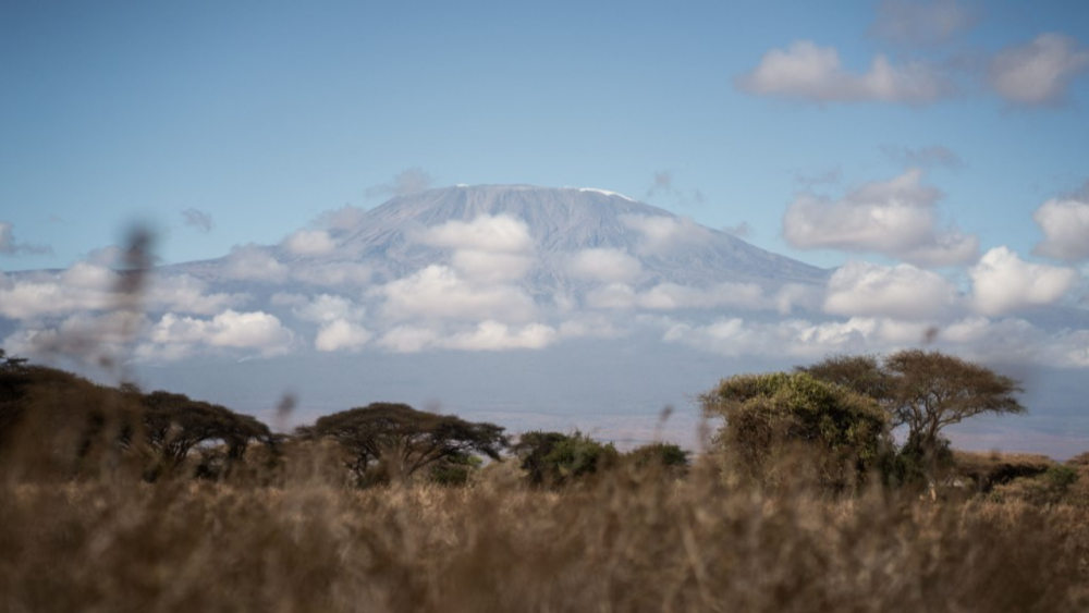 แทนซาเนีย เร่งคุมไฟป่าภูเขาไฟ "คิลิมันจาโร" หลังไฟลุกลามใกล้เส้นทางเดินป่า