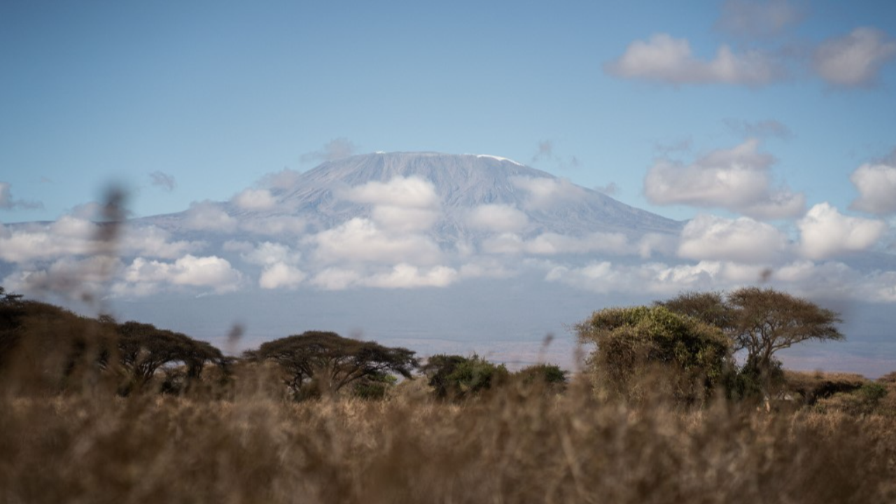 แทนซาเนีย เร่งคุมไฟป่าภูเขาไฟ "คิลิมันจาโร" หลังไฟลุกลามใกล้เส้นทางเดินป่า