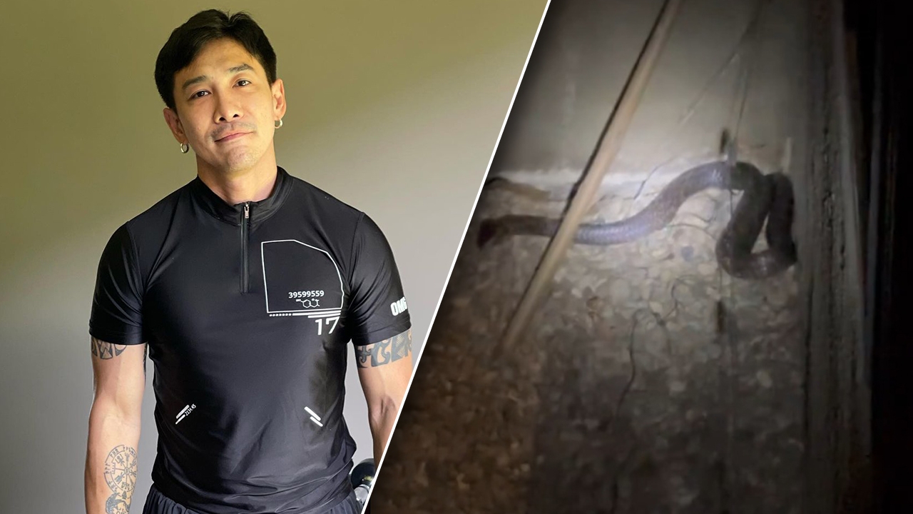 เห็นแล้วจะเป็นลม บอย พิษณุ เจองูเห่ากับงูทางมะพร้าวบุกบ้าน (คลิป)