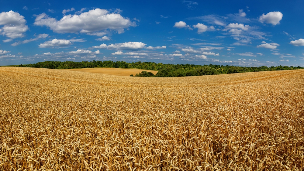 รัสเซียขู่ถอนตัวข้อตกลงข้าวยูเครน