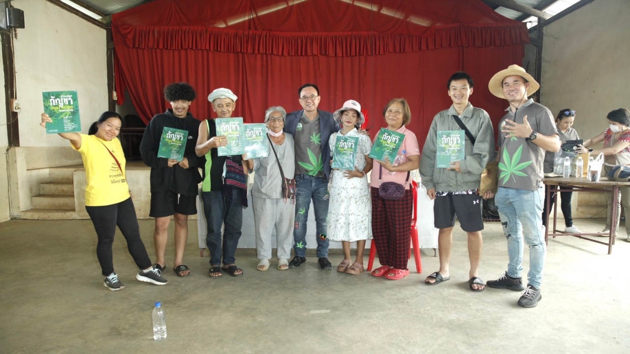 ดอยวาวี จับมือ Thai Herb Centers เตรียมลุยปลูกกัญชา พัฒนาทางการแพทย์