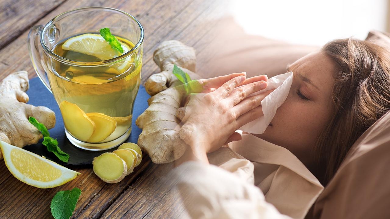 สมุนไพรแก้หนาว ตำรับยาปราบชมพูทวีป ตัวช่วยดูแลสุขภาพ 