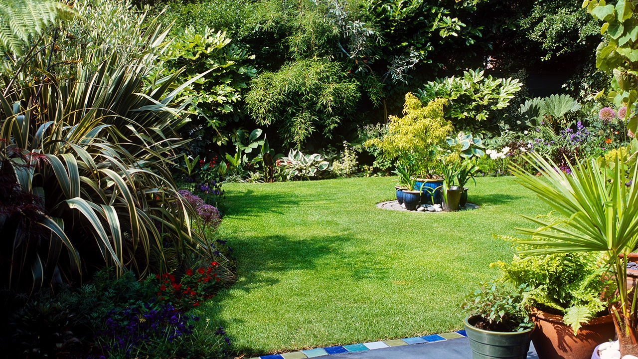 ห้ามปลูกต้นไม้แบบนี้ ถ้าไม่อยากซวย อ.มาศเตือน อันตราย