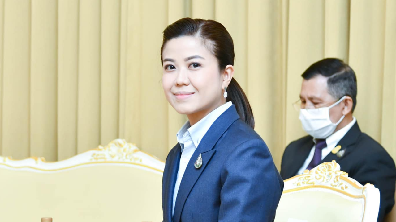 จวก “ทักษิณ” นักโทษหนีคดี “ทิพานัน” โว “บิ๊กตู่” ได้รับเสียงชมจัด APEC