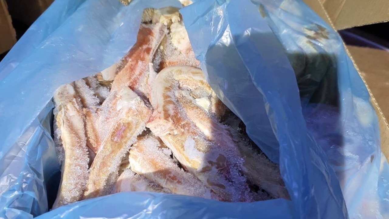 ปศุสัตว์จับหมูเถื่อน นํ้าหนักกว่า "430 ตัน"