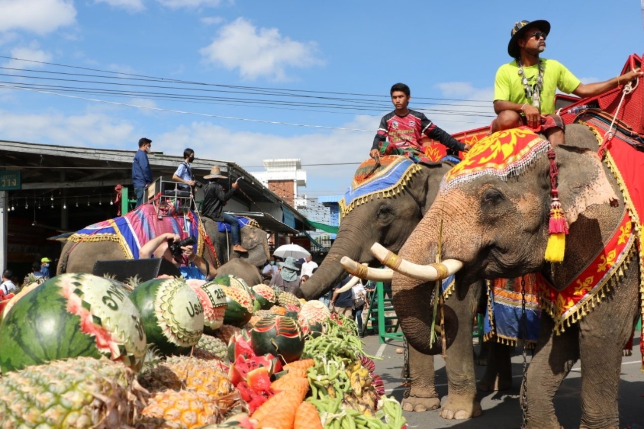 จัดยิ่งใหญ่ ช้าง 140 เชือก ร่วมเลี้ยงอาหารโต๊ะจีน เปิดงานช้างสุรินทร์ 65