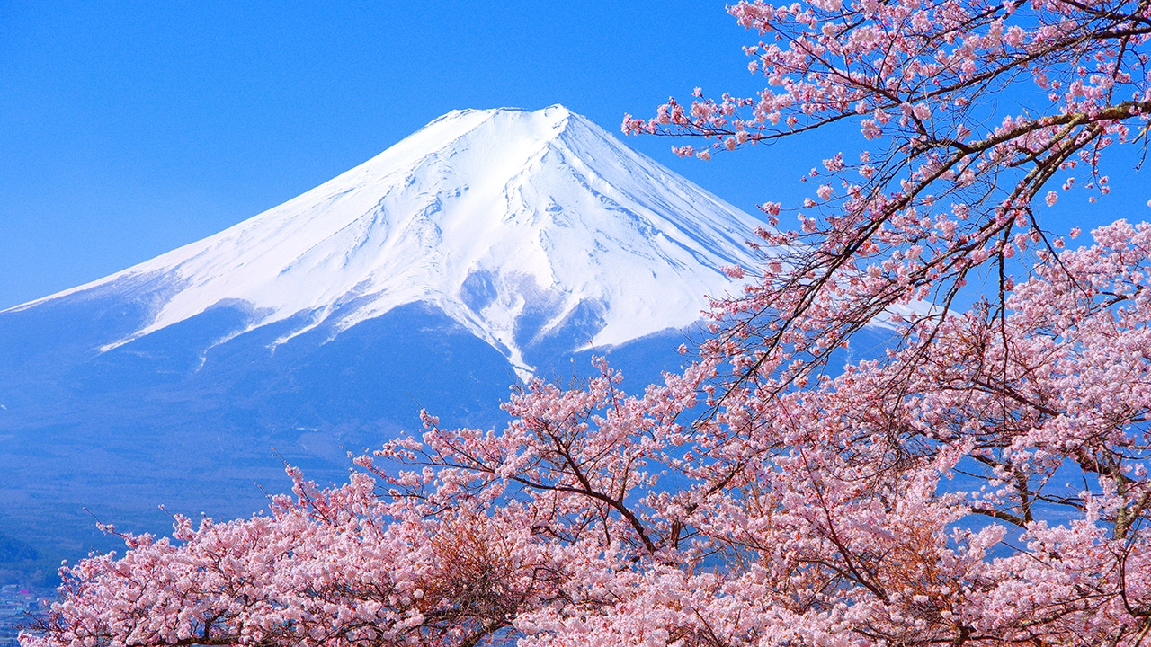ความหมาย 'ฝันเห็นภูเขา' และเลขเด็ดแม่นๆ