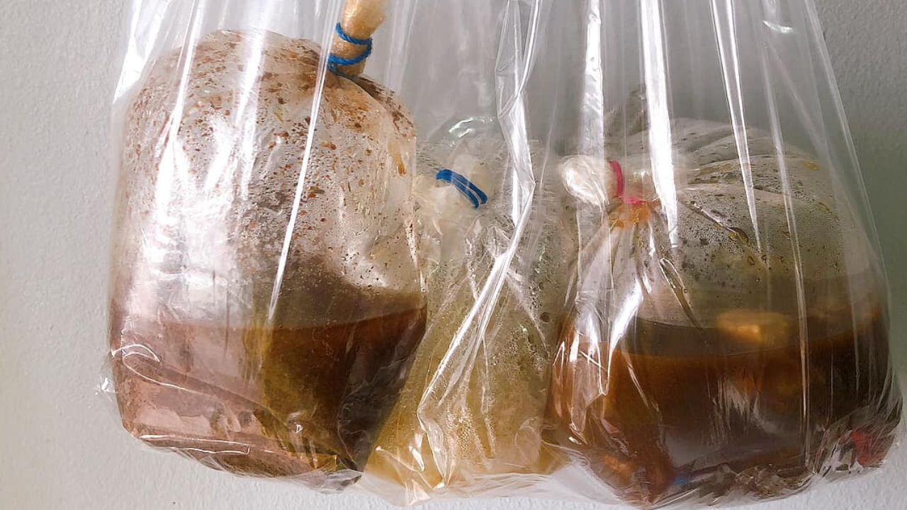 ผักบุ้ง เป็นผักโรยหรือไม่ โซเชียลถกสนั่น หลังสั่งก๋วยเตี๋ยวเรือแล้วไม่ได้ผัก