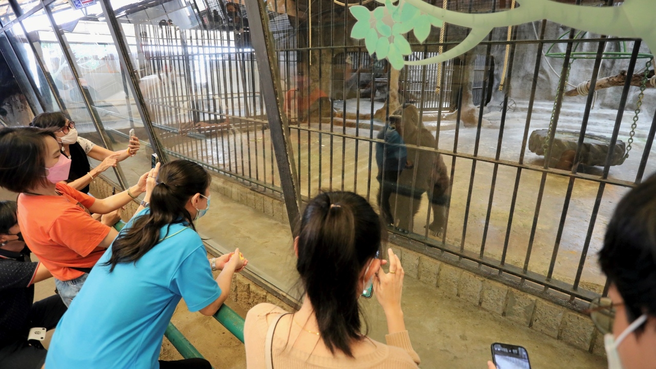 สวนสัตว์พาต้า รับสมัครงานหลายอัตรา ดูแล ฝึก สังเกตพฤติกรรมสัตว์