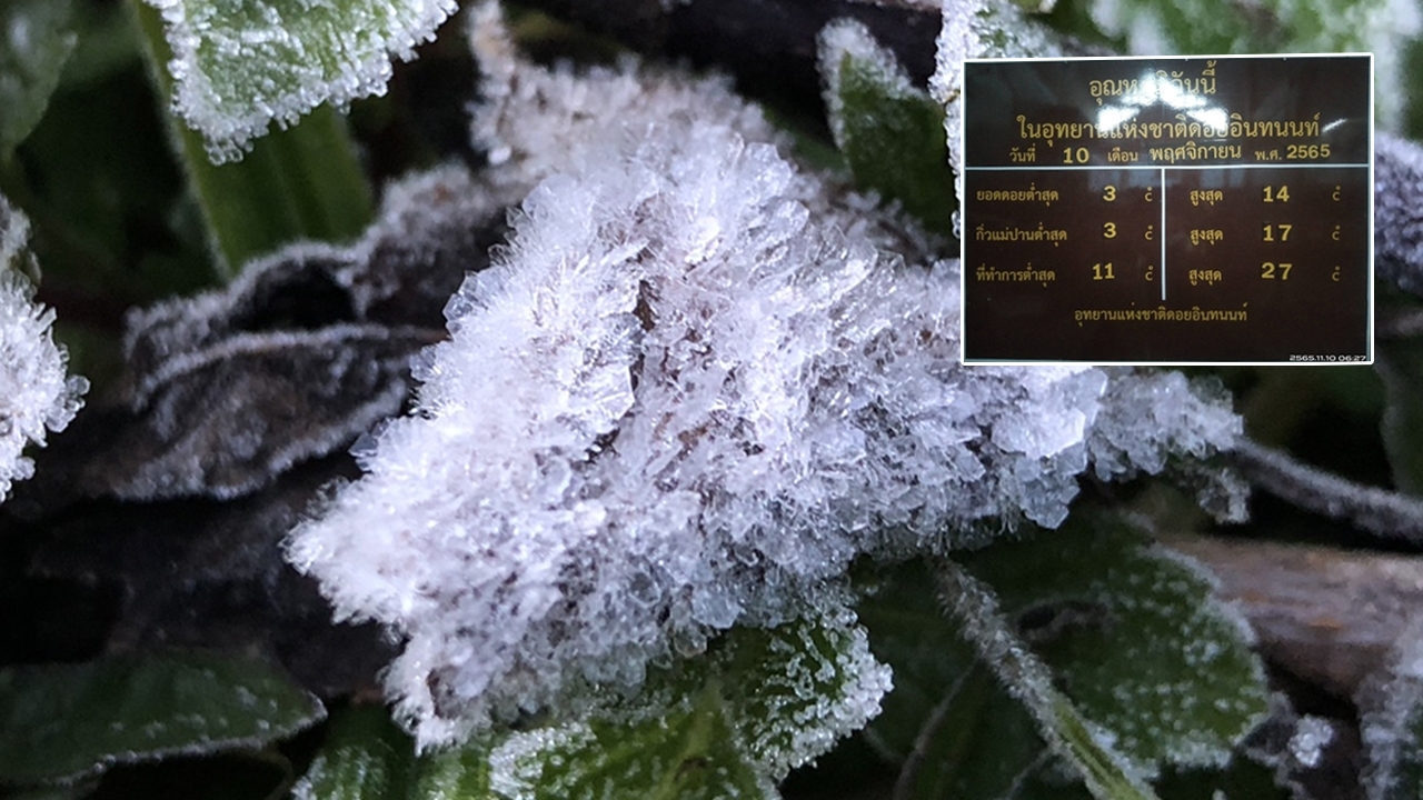 "ดอยอินทนนท์" เกิด "เหมยขาบ" อุณหภูมิลดฮวบ เช้านี้เหลือ 3 องศาเซลเซียส