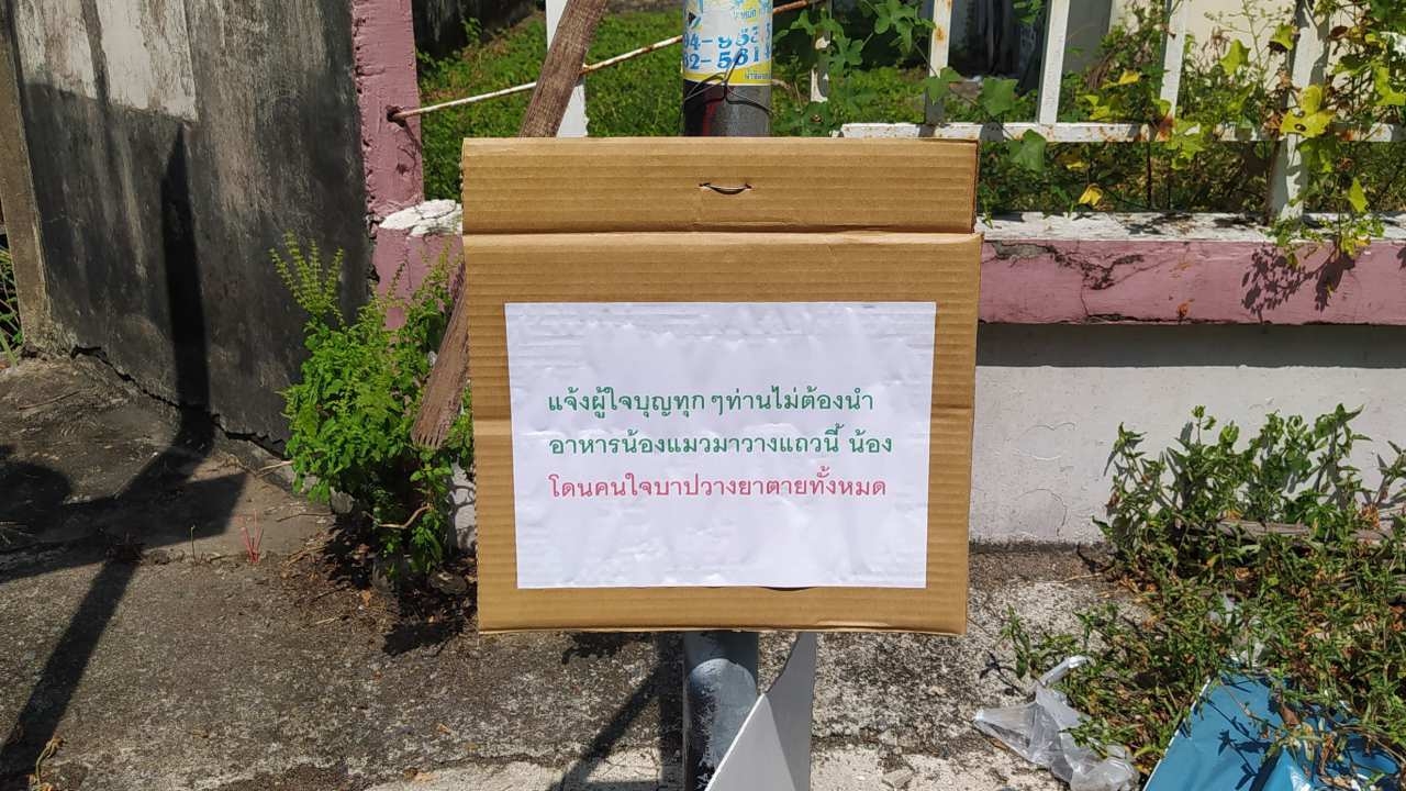 ชาวบ้านลานตากฟ้าร้องสื่อ มีคนใจร้าย แอบวางยาฆ่าแมวตายหมู่เกือบ 30 ตัว