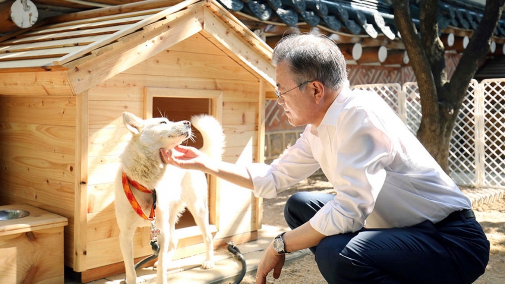 มุน แจอิน อดีตผู้นำเกาหลีใต้จะเลิกเลี้ยงสุนัขที่คิม จองอึน มอบให้