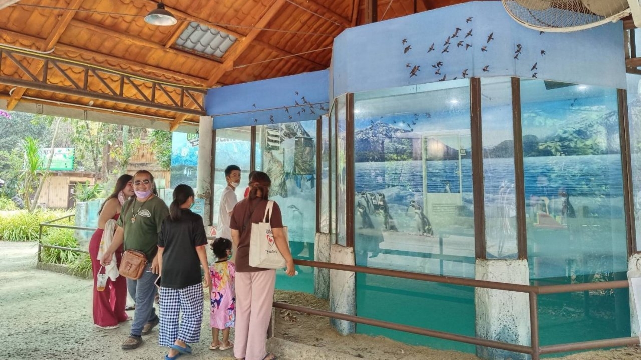 สวนสัตว์อุบลราชธานี เปิดให้บริการวันแรกหลังน้ำท่วม คนแห่เที่ยวคึกคัก