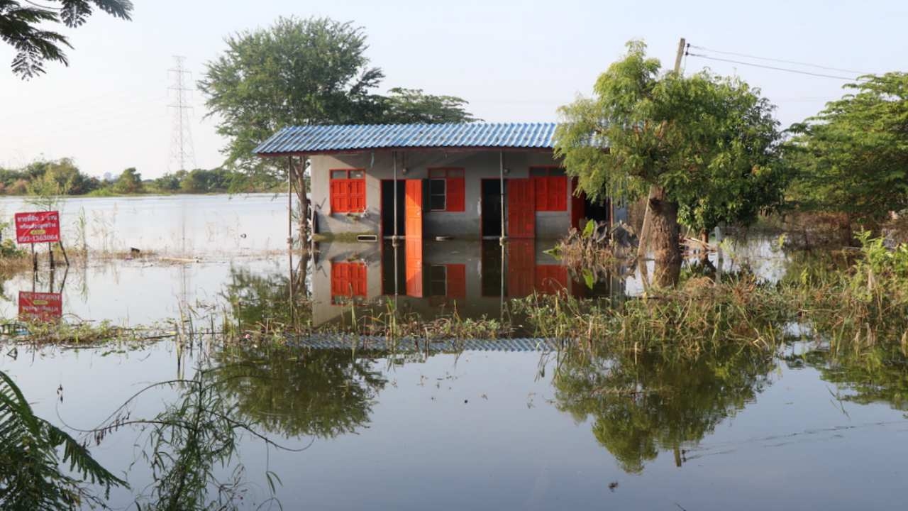 น้ำท่วมอ่างทอง ชาวบ้านสุดลำบาก นอนริมถนนมา 15 วัน ขอข้าววัดประทังชีวิต