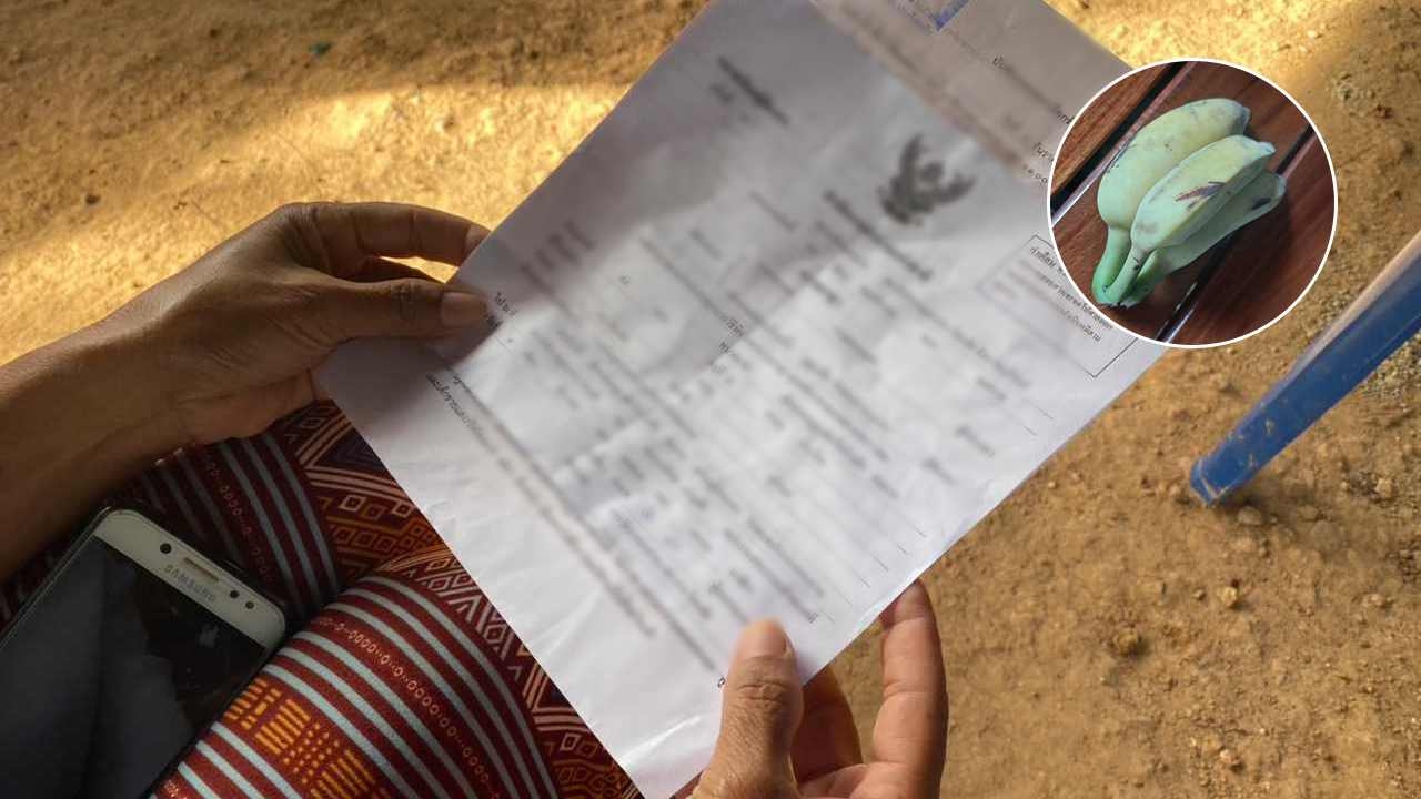 พ่อแม่ช็อก เด็กอนุบาล-ป.6 ถูกหมายเรียกรับทราบข้อหา "ขโมยกินกล้วย"