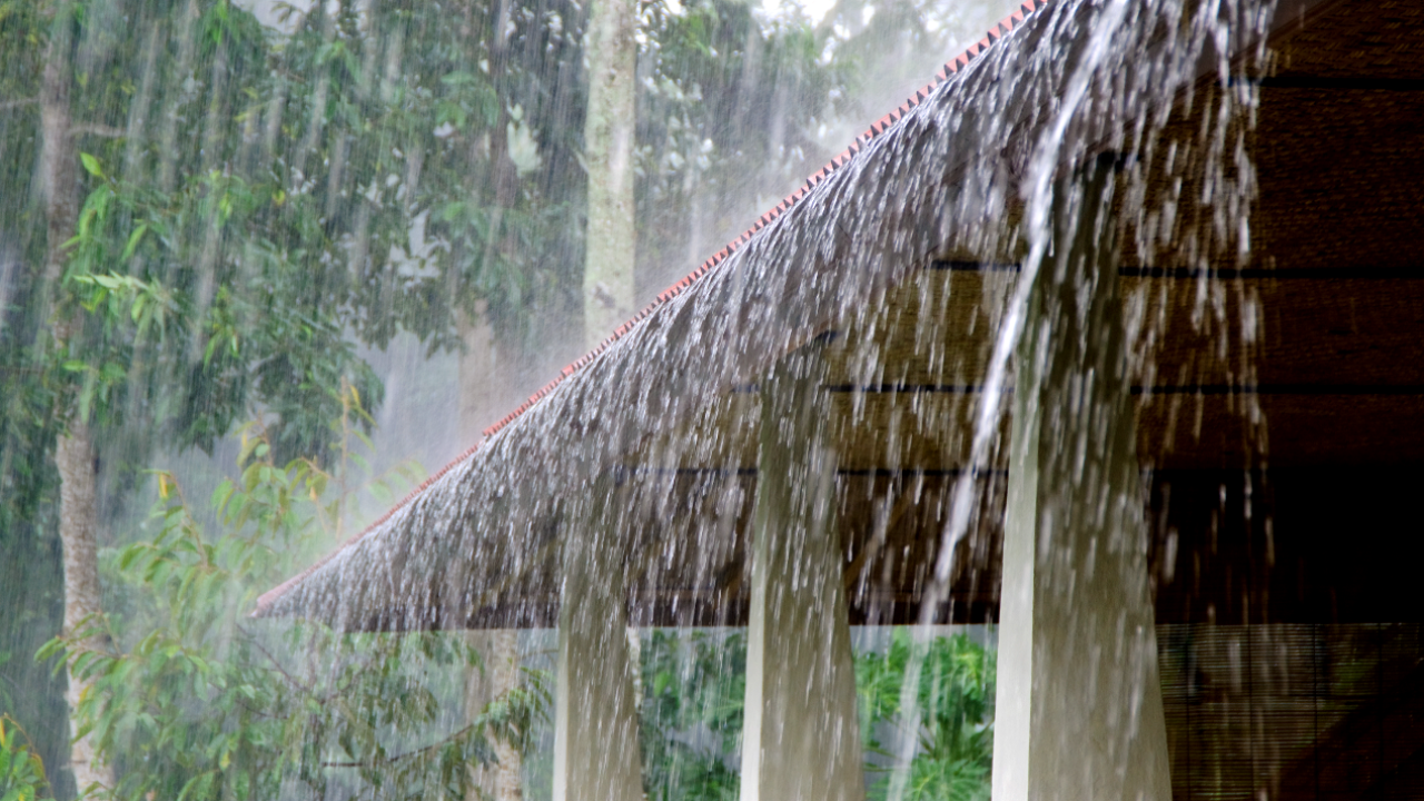 สภาพอากาศวันนี้ "ฝนถล่ม" 8-10 ธ.ค.นี้ เตือน "ภาคใต้" ระวังน้ำท่วม