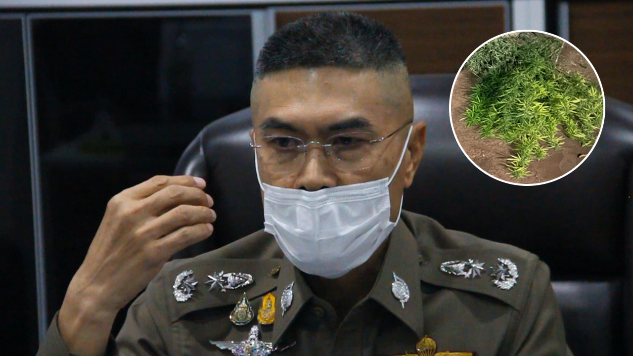 ญาติโวยหนุ่มใหญ่ย่องขโมยกัญชาเพื่อนบ้าน โดนกระทืบจนตาย ตำรวจไม่รับแจ้งความ