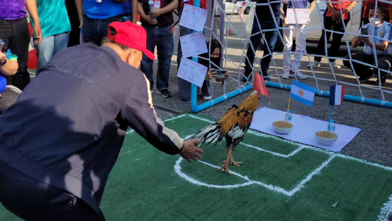 ปณ.ชวนทายผลบอลโลกกับไทยรัฐ ฮือฮาไก่เหลืองหางขาว เลือก อาร์เจนตินา 