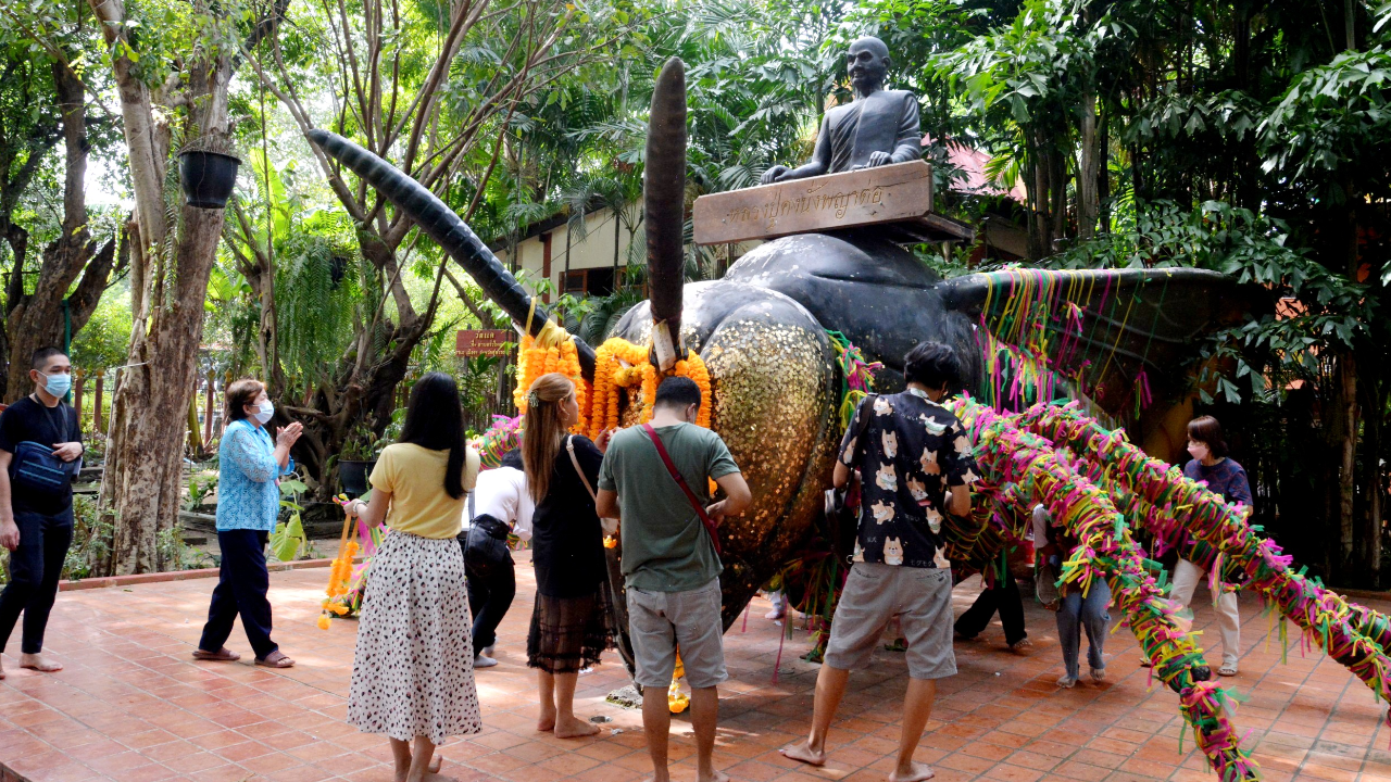 คอหวยตาดีส่อง "เลขเด็ด" ของถวาย "พญาต่อยักษ์" วัดแค ลุ้นโชคงวด 16/12/65