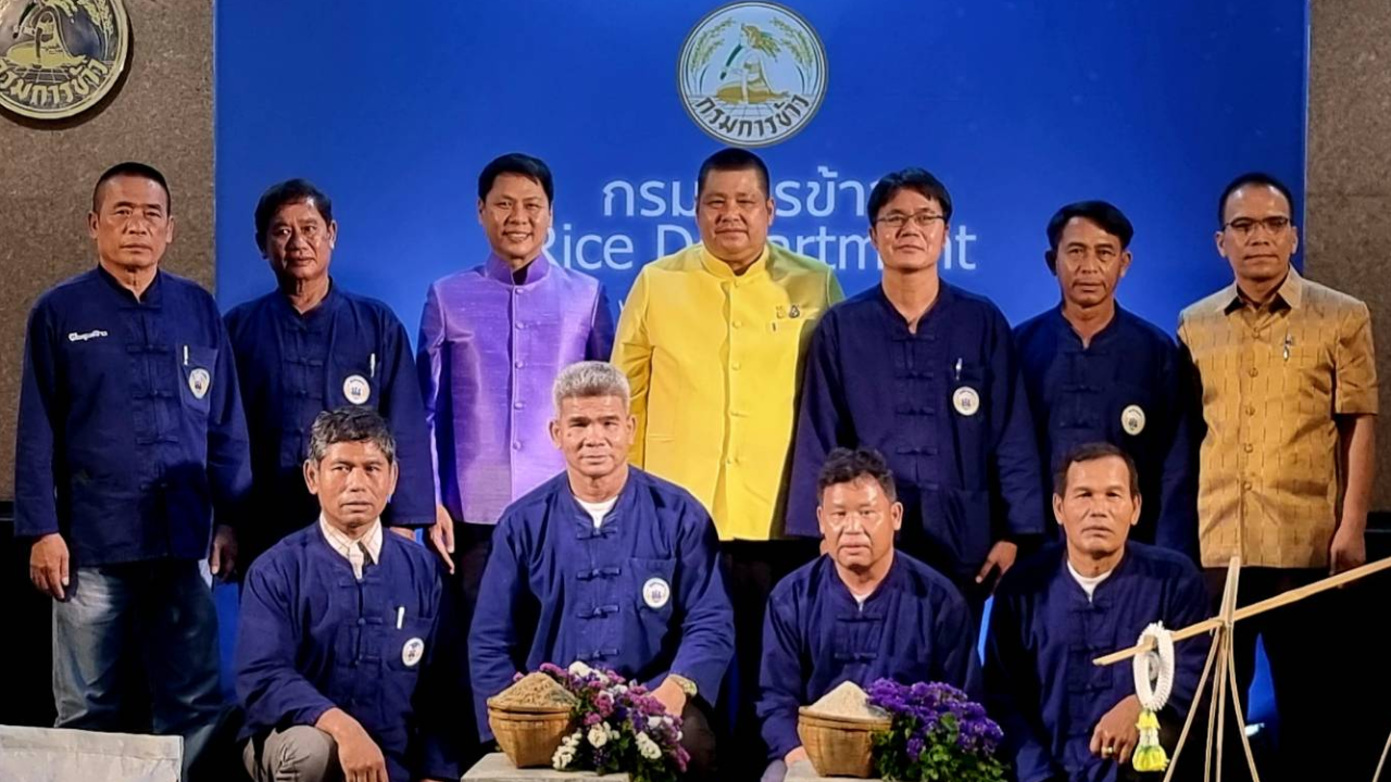 กรมข้าว ตั้งเป้าให้ชาวนาเปลี่ยนใช้ข้าวพันธุ์ดีปี 66 ปลูกแข่งขันตลาดโลก 