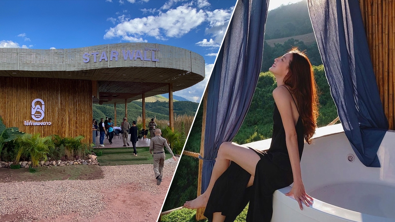 ไร่กำแพงดาว แจ้งหยุดรับจอง คืนเงินลูกค้า ผจก.ใบเฟิร์น ยันไม่เคยรับงานรีวิว